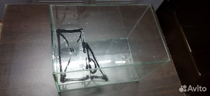 Аквариум черепашник