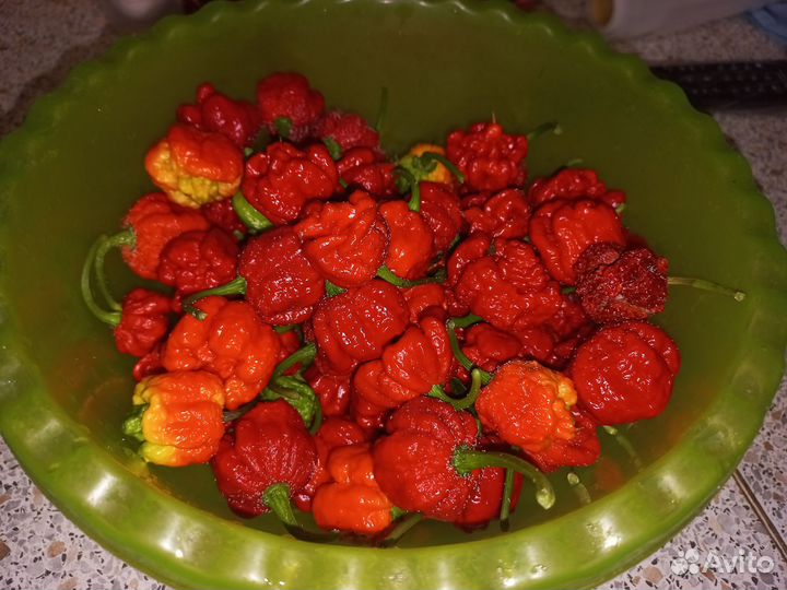 Семена острого перца Carolina Reaper