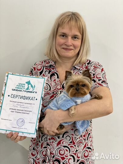 Курсы груминга