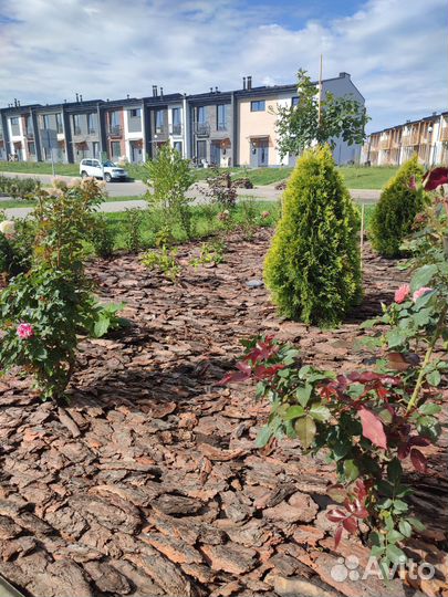 Кора сосны, Мульча. Крупная и средняя фракция