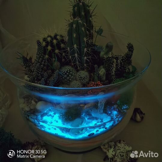 Флорариумы