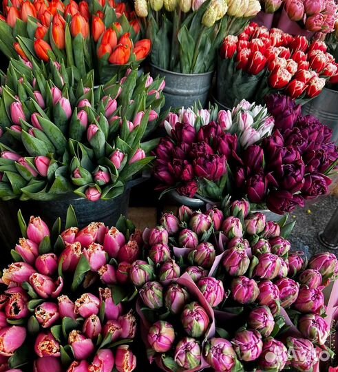 Тюльпаны на корпоротивы