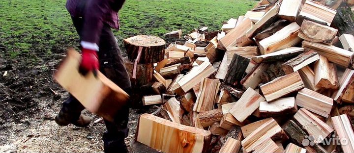 Дрова 30 см