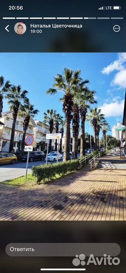 Путевка в Сочи на 10 дней