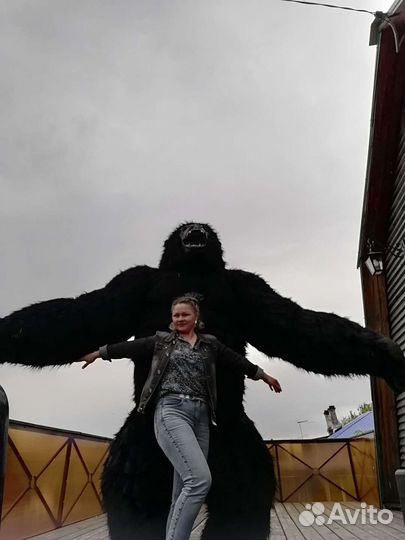 Поздравление