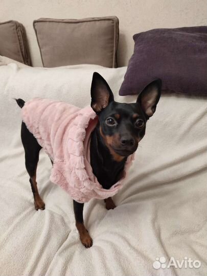 Меховое манто для собаки среднего размера