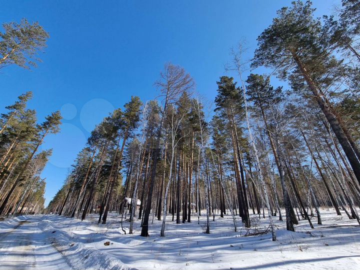 Участок 10 сот. (СНТ, ДНП)