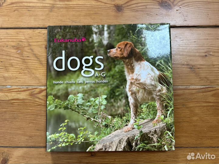 Книги про собак