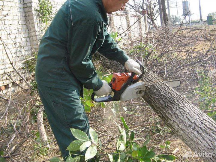 Разнорабочие, Грузчики, Демонтаж