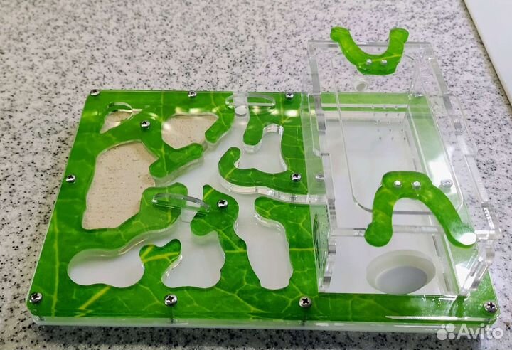 Муравьиная ферма