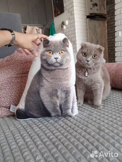 Кошечка на вязку