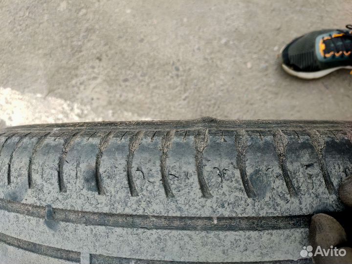 Nokian Tyres Nordman SX2 205/60 R16