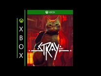 Stray Xbox