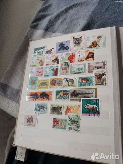 Почтовые марки. Коллекционный альбом