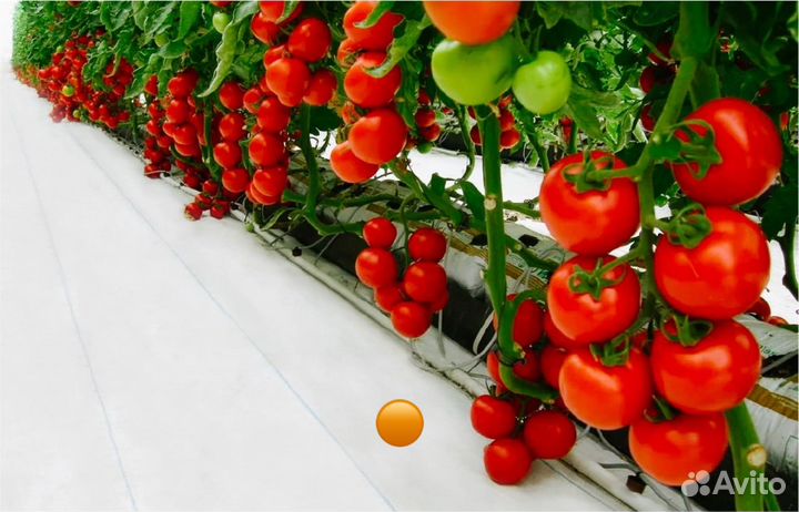 Требуется сборщик урожая г Бобров