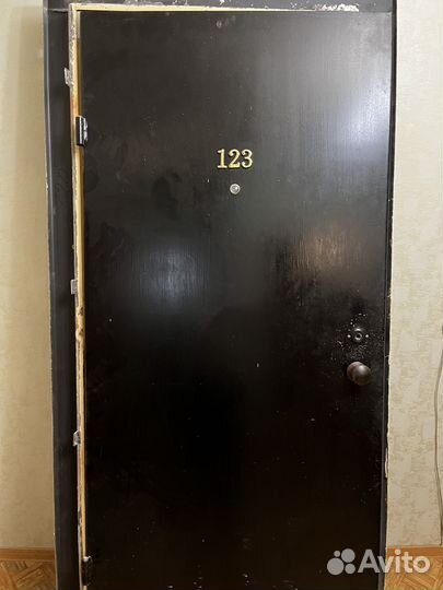 Двери металлическая и деревянная