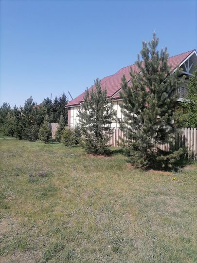 Дом 279,8 м² на участке 11 сот.