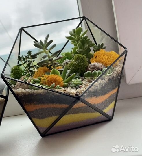 Флорариум «Икосаэндр»