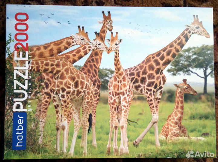 Пазлы 500 1500 2000