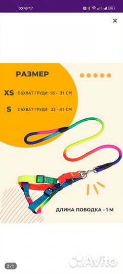 Шлейка для кота