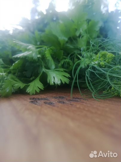 Свежая зелень