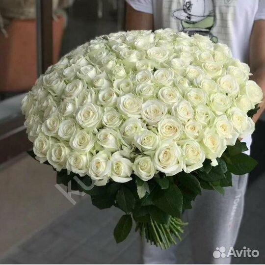 Букет белых роз 101 белая роза Доставка