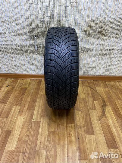 Pace Antarctica 5 205/60 R16