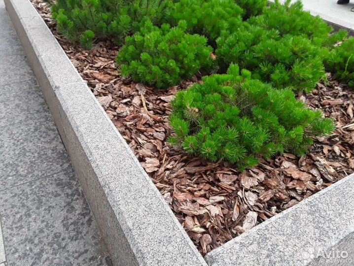 Мульча сосновая кора в мешках в Подольске