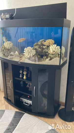 Продаю аквариум со всеми рыбками и оборудованием