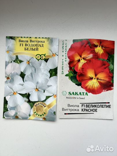 Рассада цветов