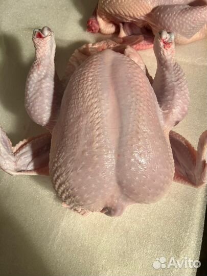 Мясо домашнего бройлера