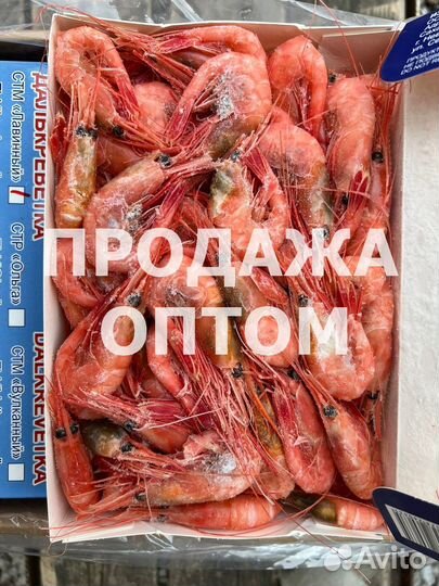 Креветка Северная 70/90 Далькреветка оптом