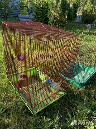 Клетка для грызунов бу