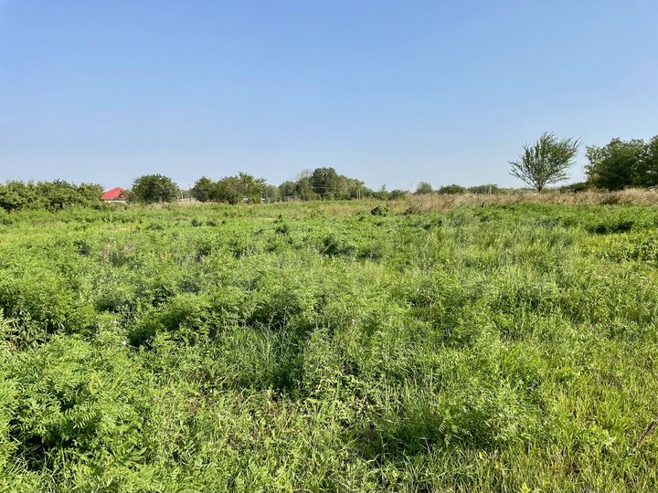 Участок 15 сот. (ИЖС)