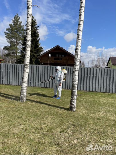 Обработка участка от клещей, комаров, борщевика