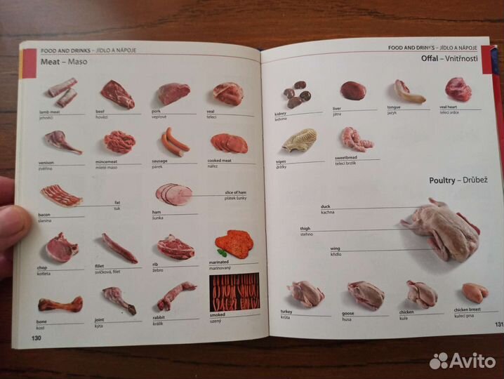 Англо-чешский иллюстрированный словарь