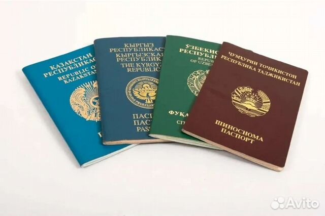 РВП, ВНЖ, Гражданство РФ