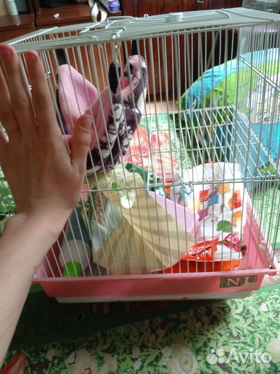 Клетка для грызунов большая