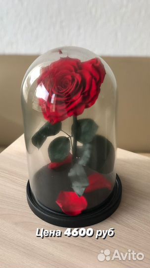 Роза в колбе