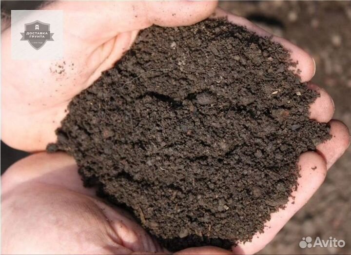 Купить землю чернозем