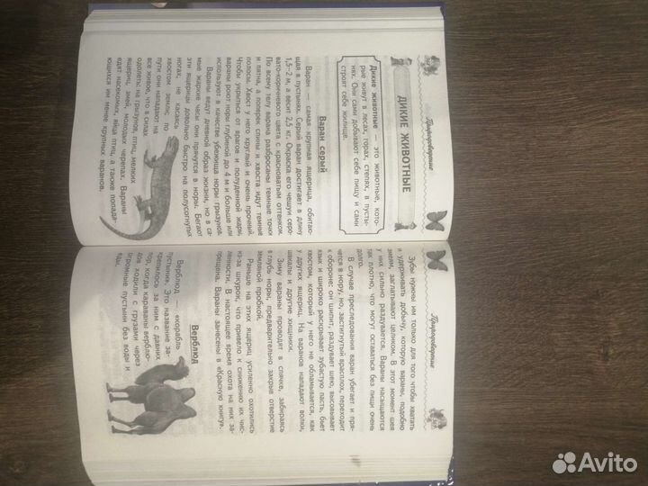 Справочник школьника 1-4 классы