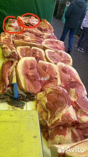 Мясо свинина домашняя