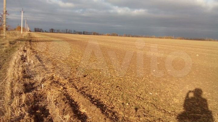 Участок 11 га (СНТ, ДНП)