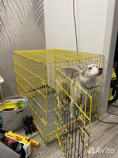 Клетка для собаки