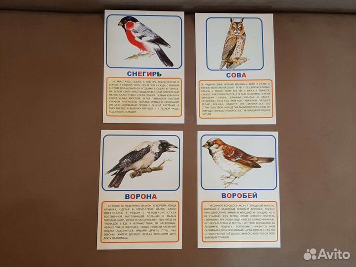 Карточки А4 