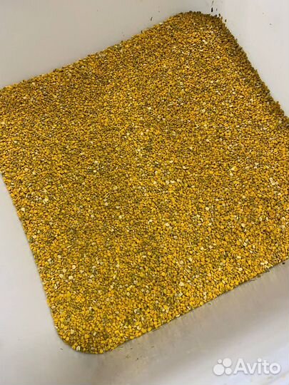 Пыльца пчелиная