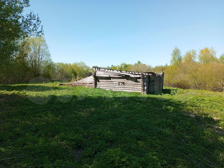 Участок 50 сот. (ИЖС)