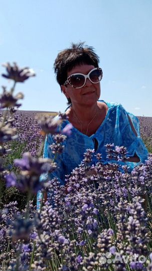 Работа, продавец кассир