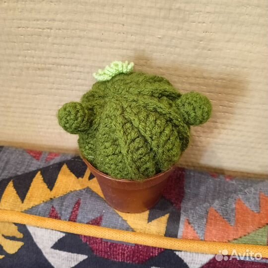 Вязанный кактус