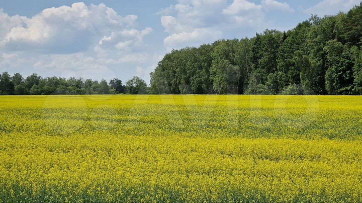 Участок 15 сот. (ИЖС)